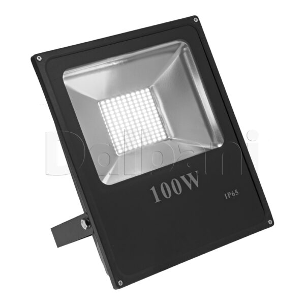 100W 6000K Black Outdoor Waterproof LED Flood Light