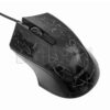 D608-B - Image 3