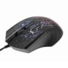D608-B - Image 4