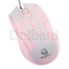 X168-W - Image 4