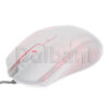X168-W - Image 6