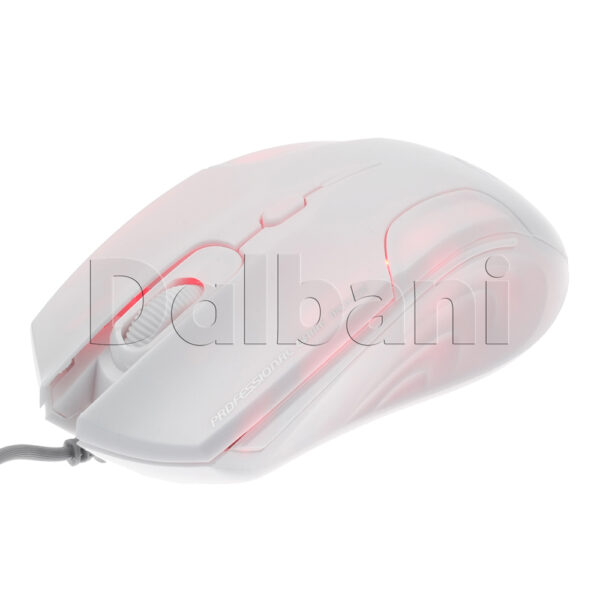 X168-W - Image 6